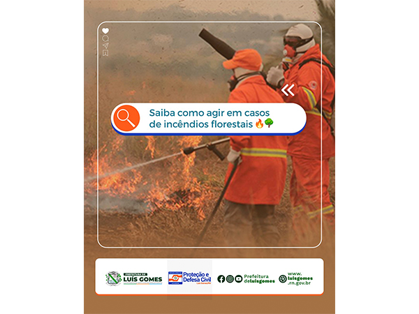 Saiba como evitar incêndios em carros